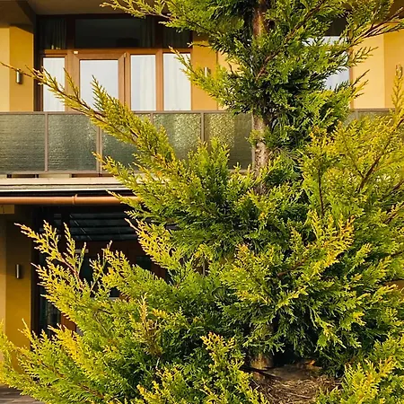 Irisz Hotel 3*