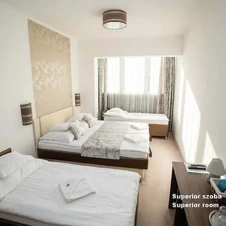 酒店 Irisz Nyíregyháza