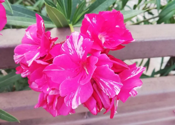 Hotel Irisz Nyíregyháza